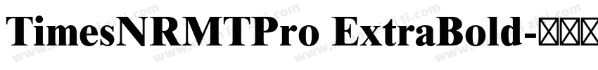 TimesNRMTPro ExtraBold字体转换